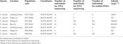 Contrasting population differentiation in two sympatric Triplophysa loaches on the Qinghai–Tibet Plateau